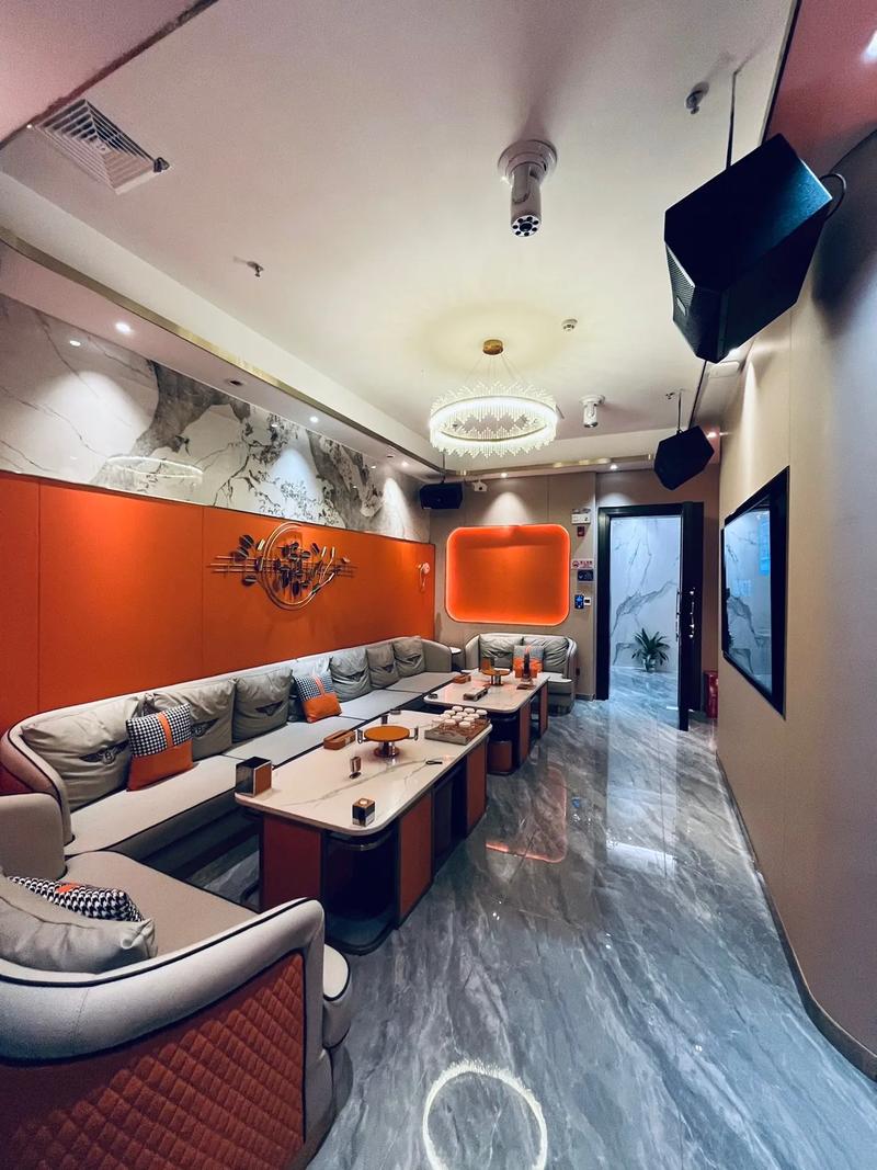 宜春商务ktv的魅力-铜鼓县ktv预定